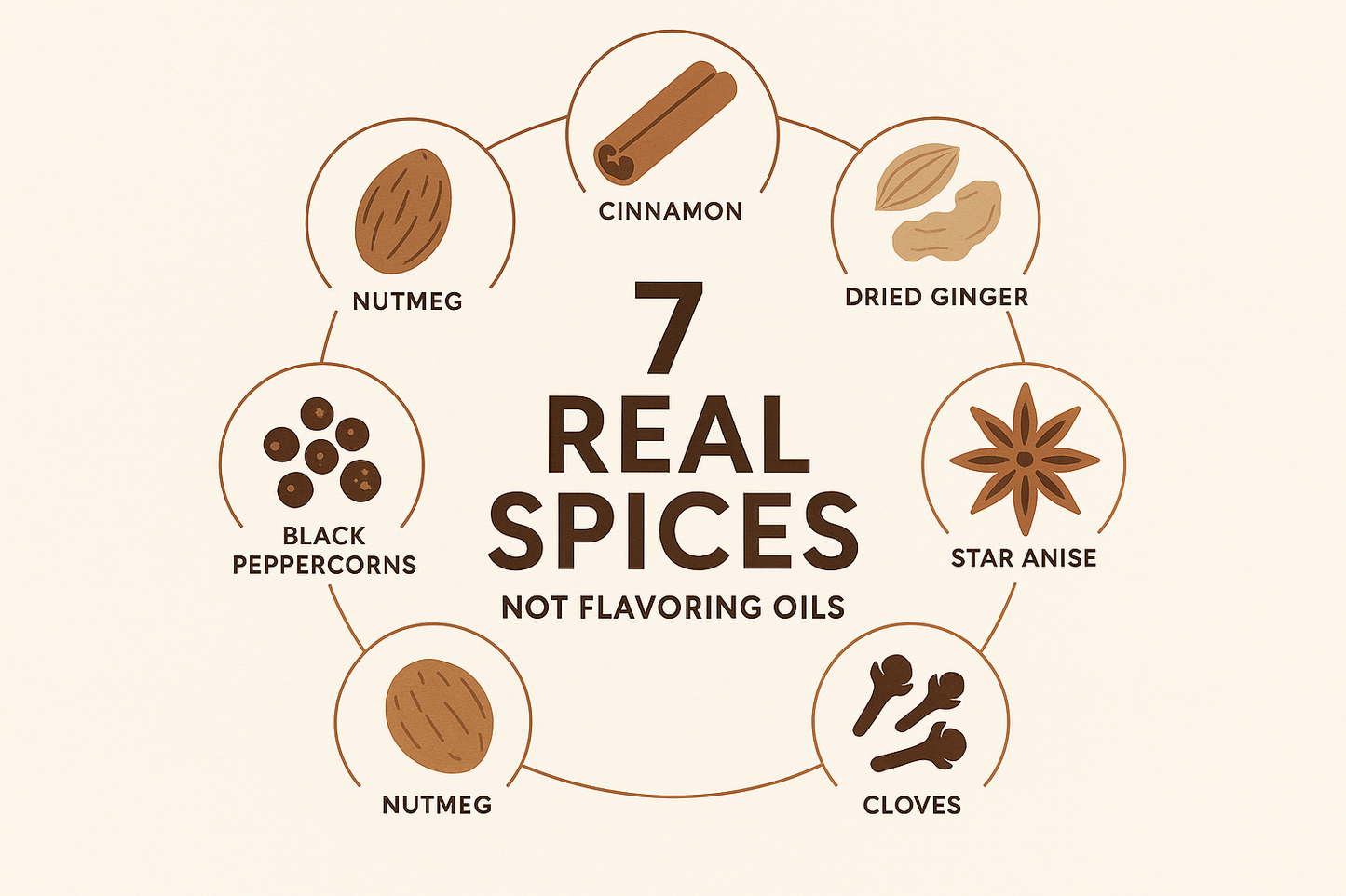 7 Spices Infographic